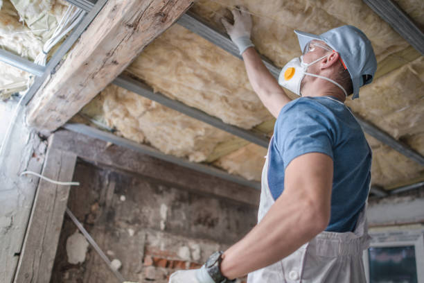 Trusted Minor, AL Insulation Contractor Experts
