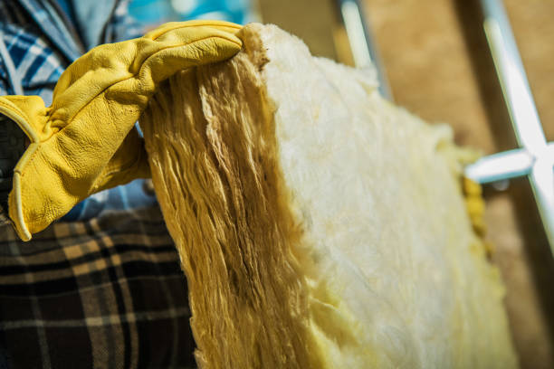 Types of Insulation We Offer in Minor, AL