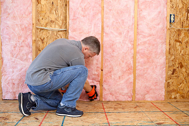 Best DIY Insulation Kits and Guidance in Minor, AL